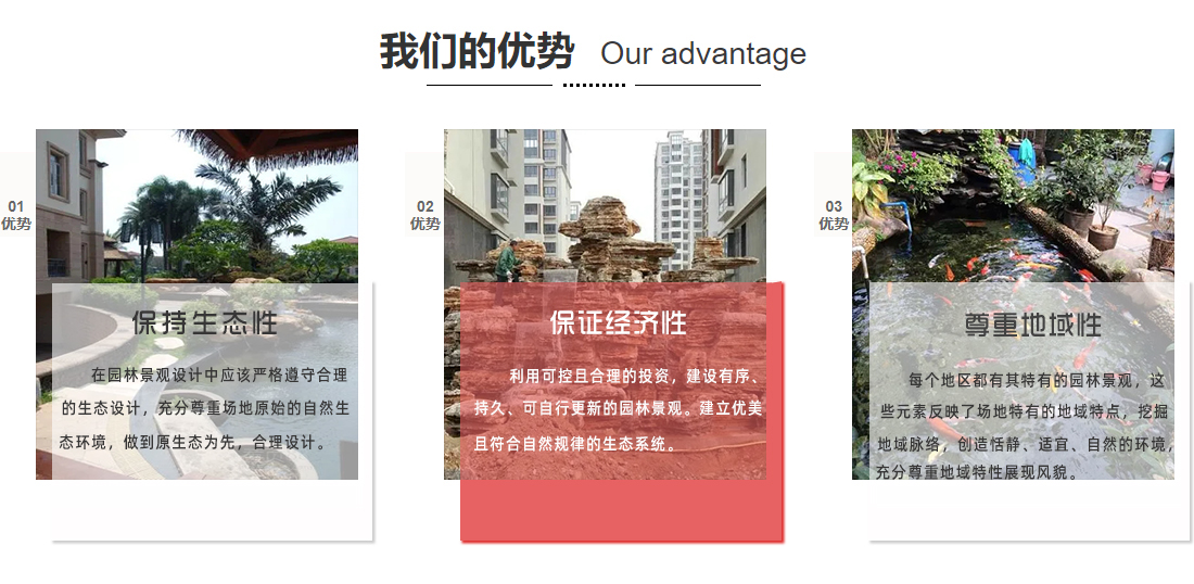 我們的優勢