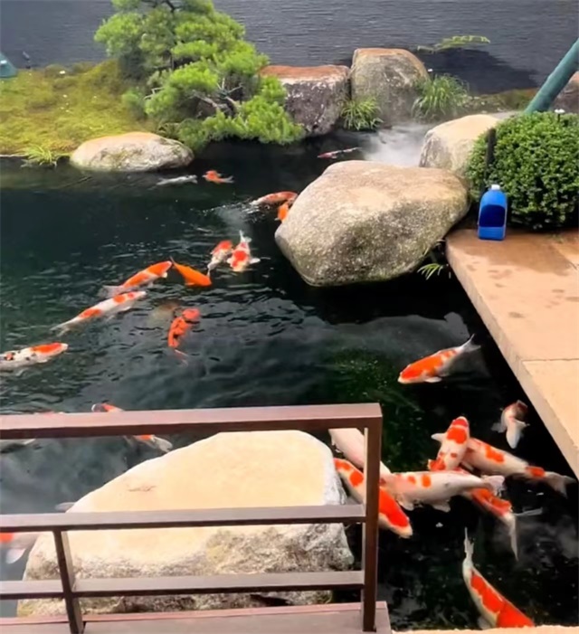 魚池過濾